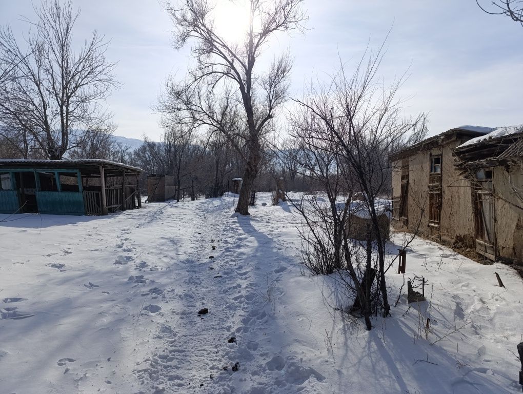 Алакольский р. Продам дом с участком