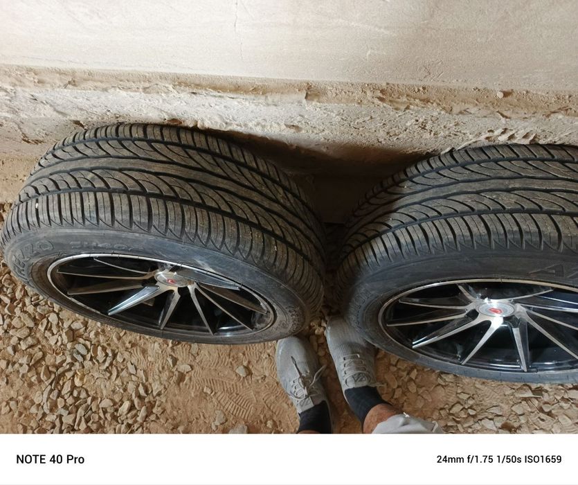 Balon diski  taza jurmegen