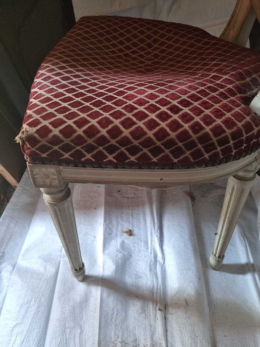 Scaune originale stil Louis