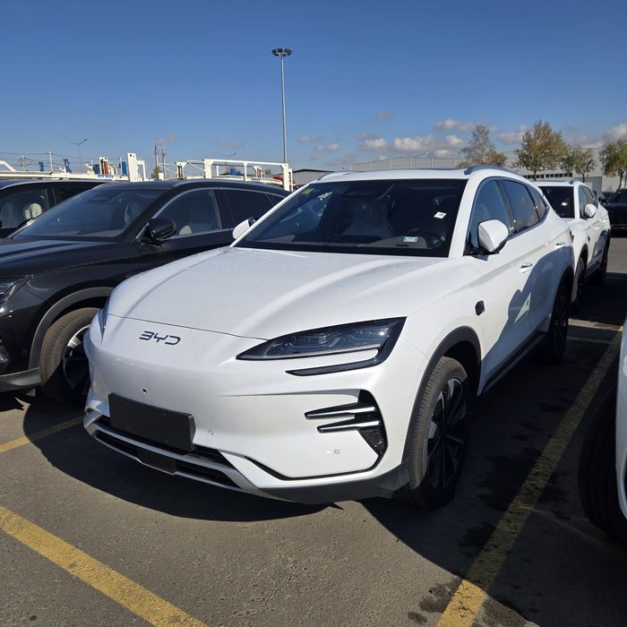 **BYD chempion smart 2025