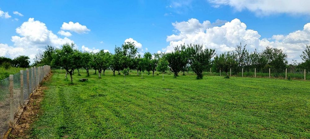 Продава се парцел село Мерданя 1360 кв.м.  Област Велико Търново