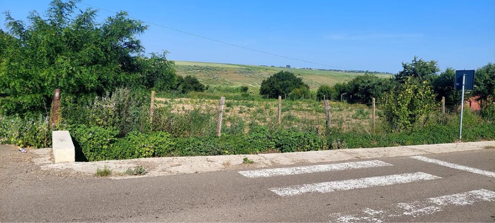 Teren intravilan com Unteni , sat Soroceni 1800 mp