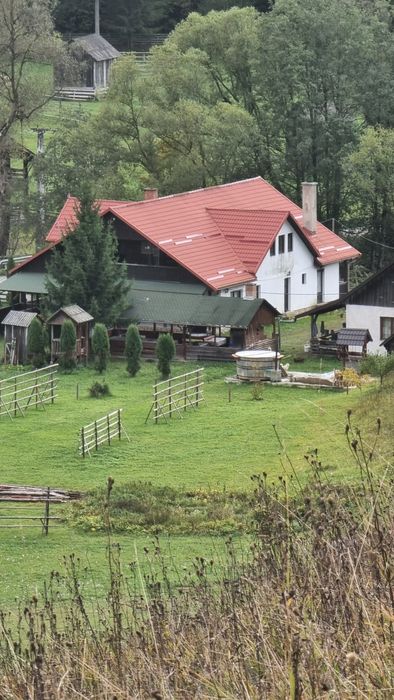 Cabana Valea Măriilor - Cabana la munte cu CIUBAR