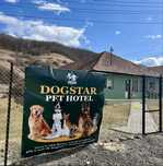 Cazare caini Cluj DogStar, pensiune caini, dresaj caini, toaletaj