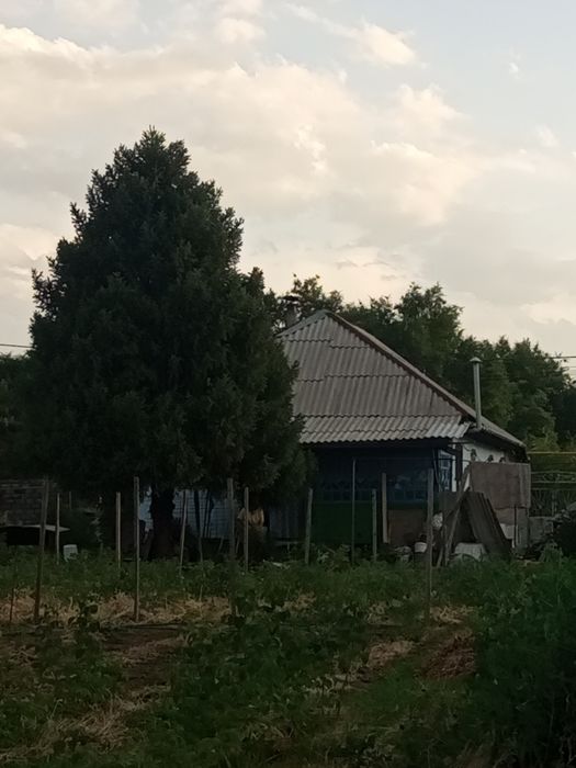 Дом  частный из двух половин