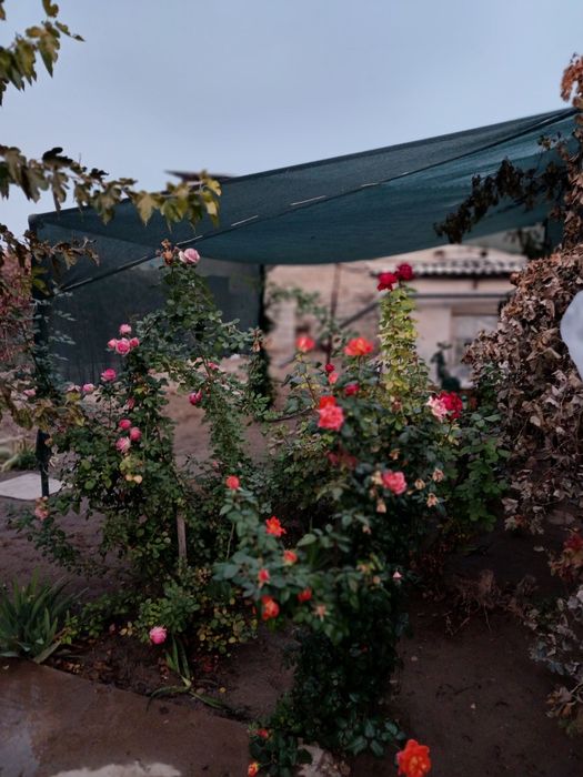 Продаётся дом в центре города ,рядом с кафе шоколад,  отов