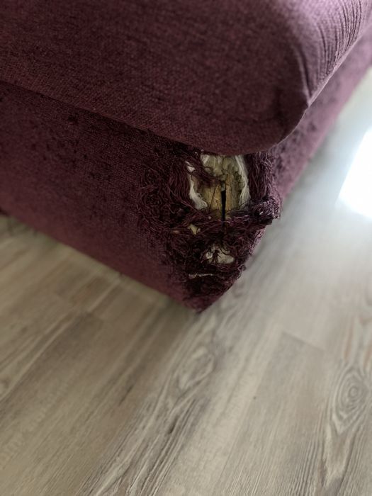 Coltar extensibil Amadeo Mobexpert