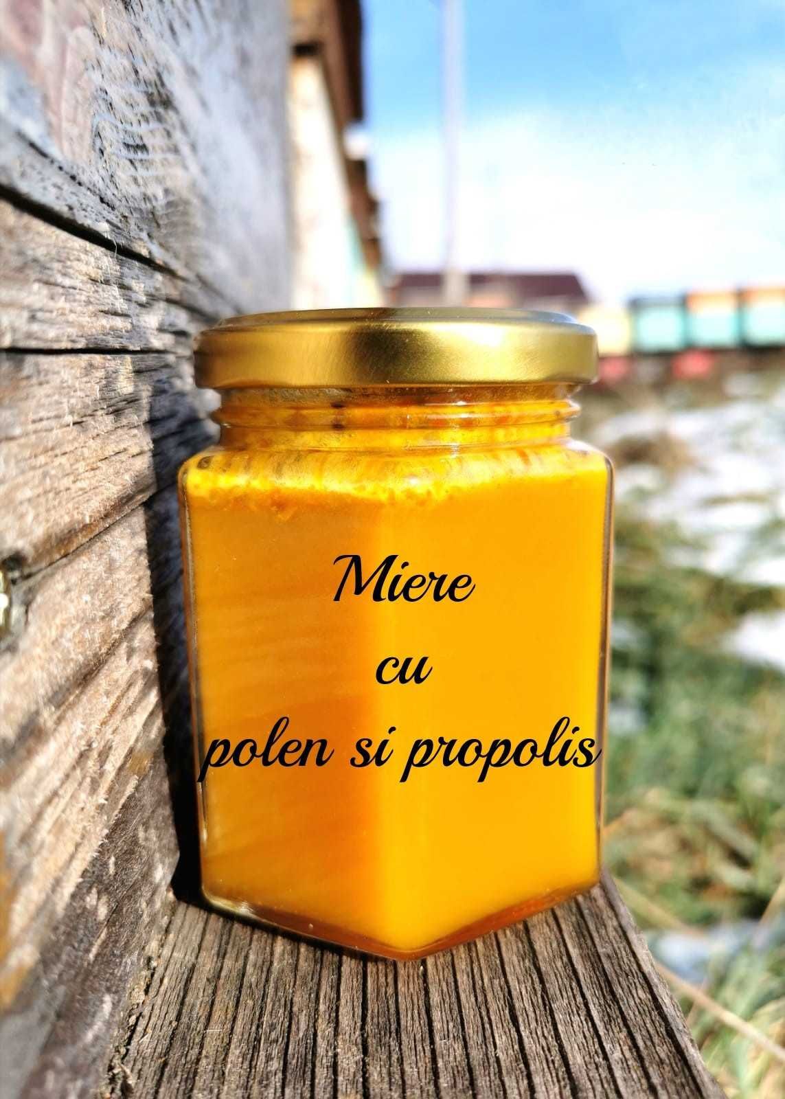 Miere de albine din stupina proprie