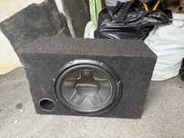 Pioneer Shampion 12