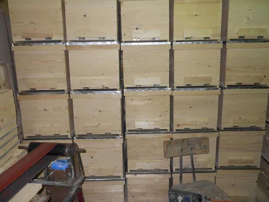 Stupi pe 10 rame  ,180 lei