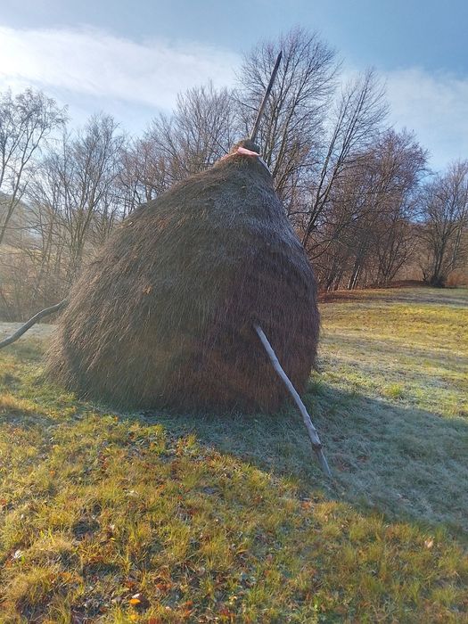 Vând 7 căpițe de fân