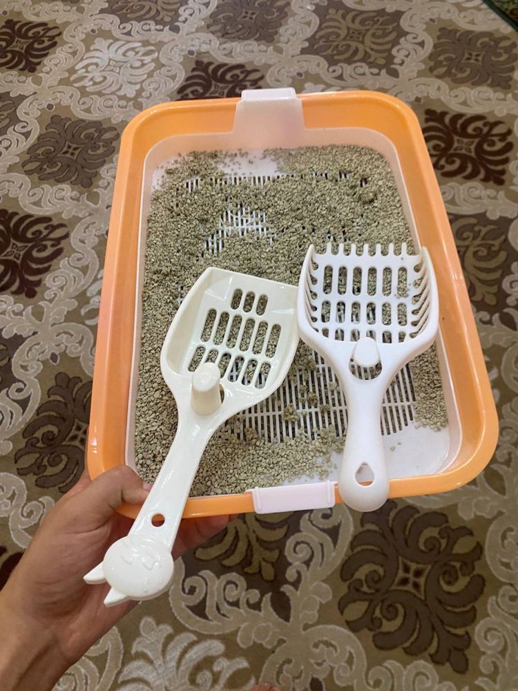 Mushukcha sotladi srochna skotish 2 oylik qiz bola