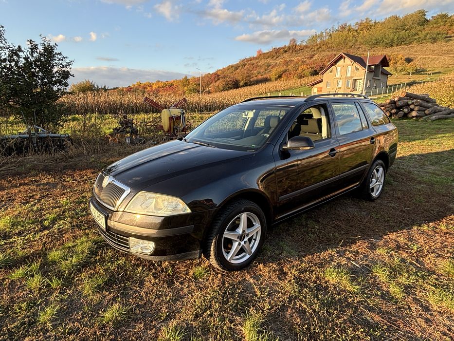 Skoda Octavia 1.9 TDI 4x4 2007 105cp