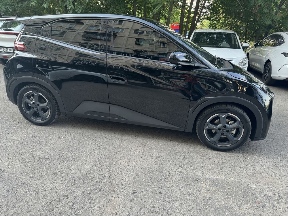 Byd seagull 2024