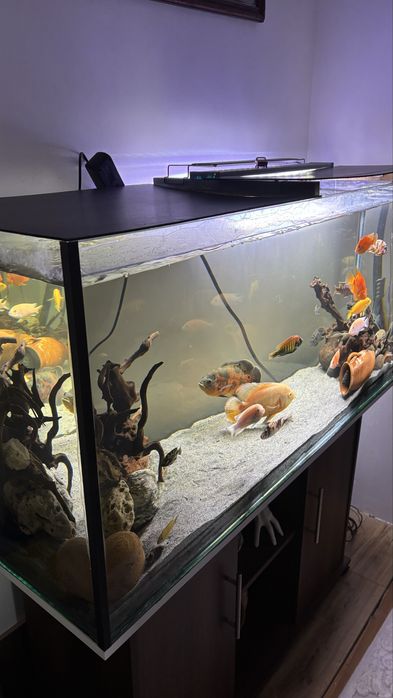 Acvariu nou 340 litri