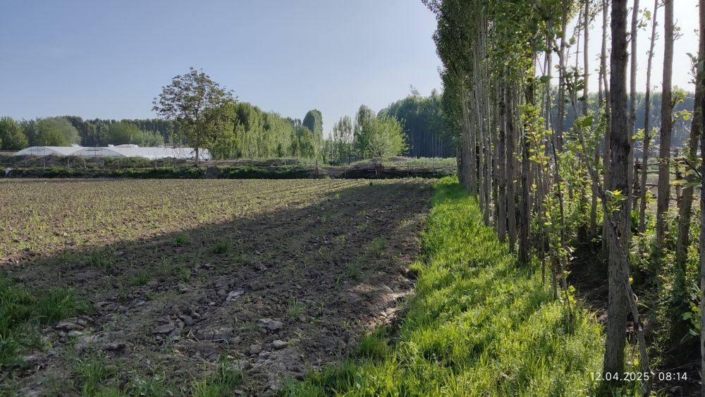 Uy Sotiladi Toshkent viloyati Bo'ka Tumani Ramadon MFY Janabay 15 uy