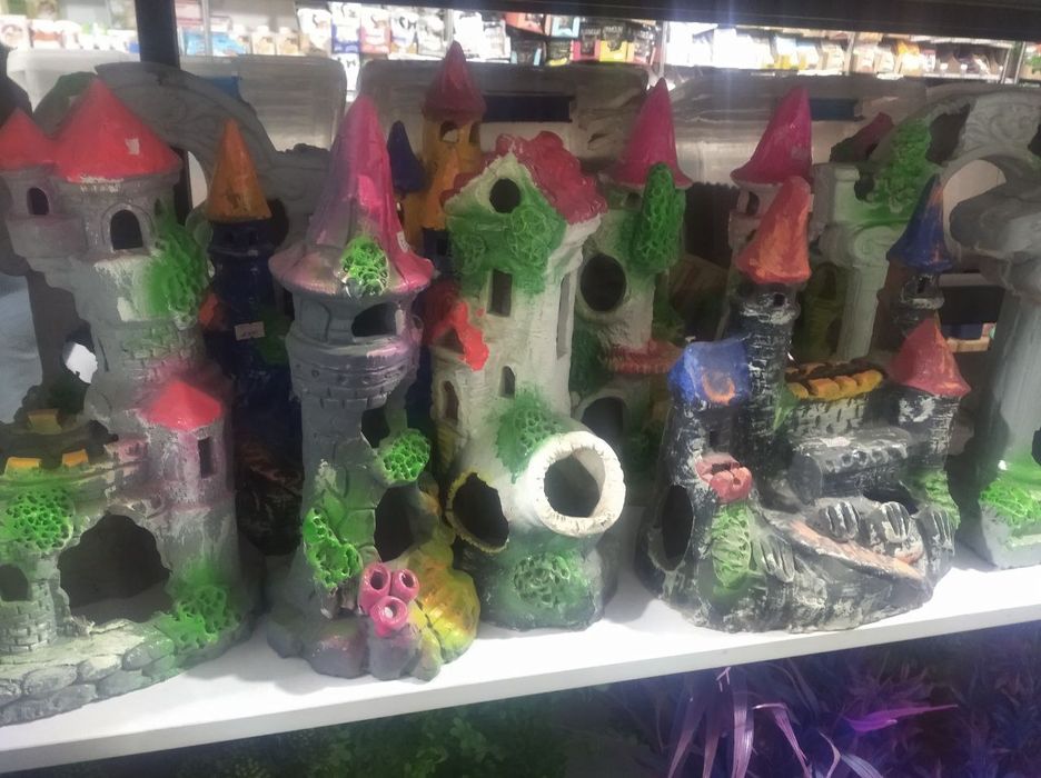 . Аквариум разные