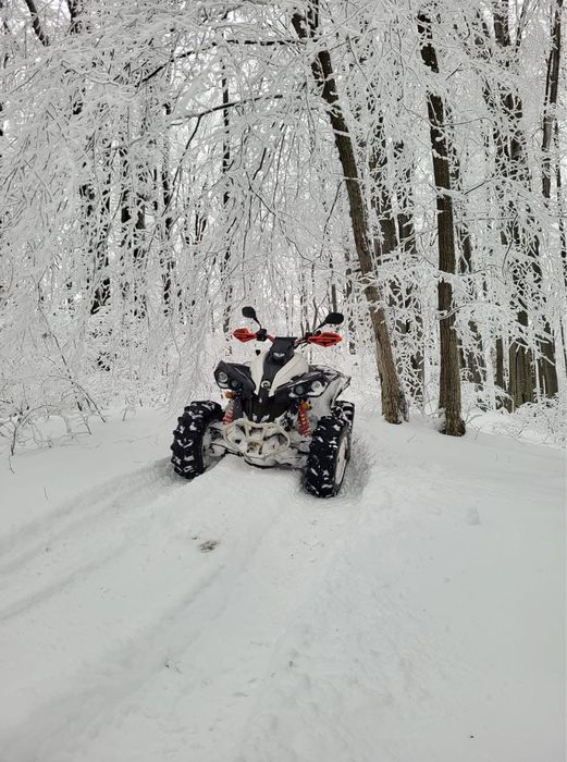 Can am renegade 570