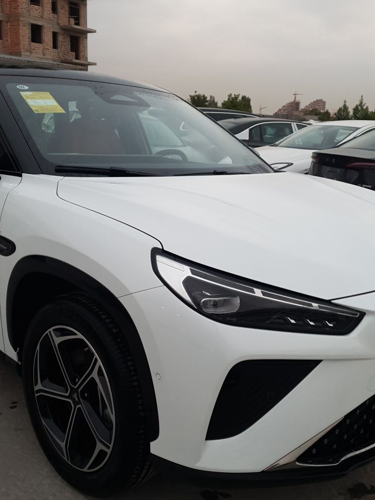 Neta L. Hybrid.2024. RWD.
