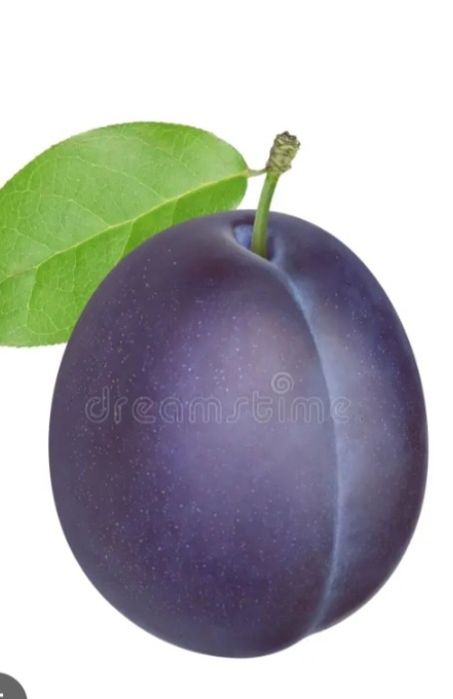 Prune pentru țuică sau palincă