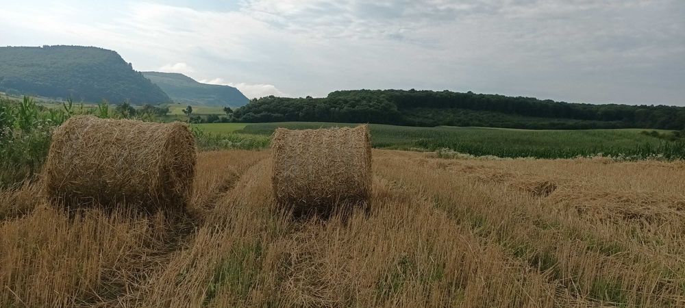 Vand baloți de paie