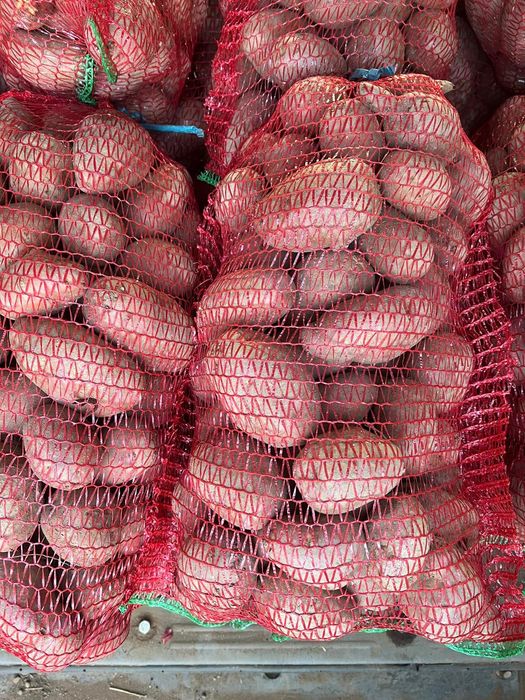 Cartofi  de consum Albi și roșii de vânzare