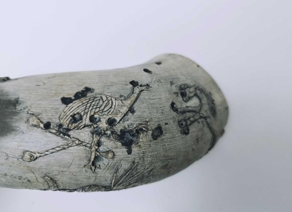 Vechi Corn viking de baut sau decor , Vanatoare