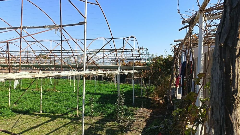 Парник  сотилади