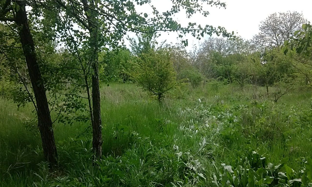 Продавам къща с двор в с. Калина, общ. Ген. Тошево