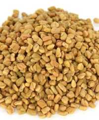 Семена пажитника (Шамбала, Хилба, Фунегрик) производство Индия