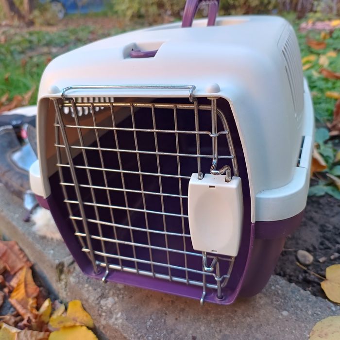 Pachet cusca transport, haine caine talie mica si ham