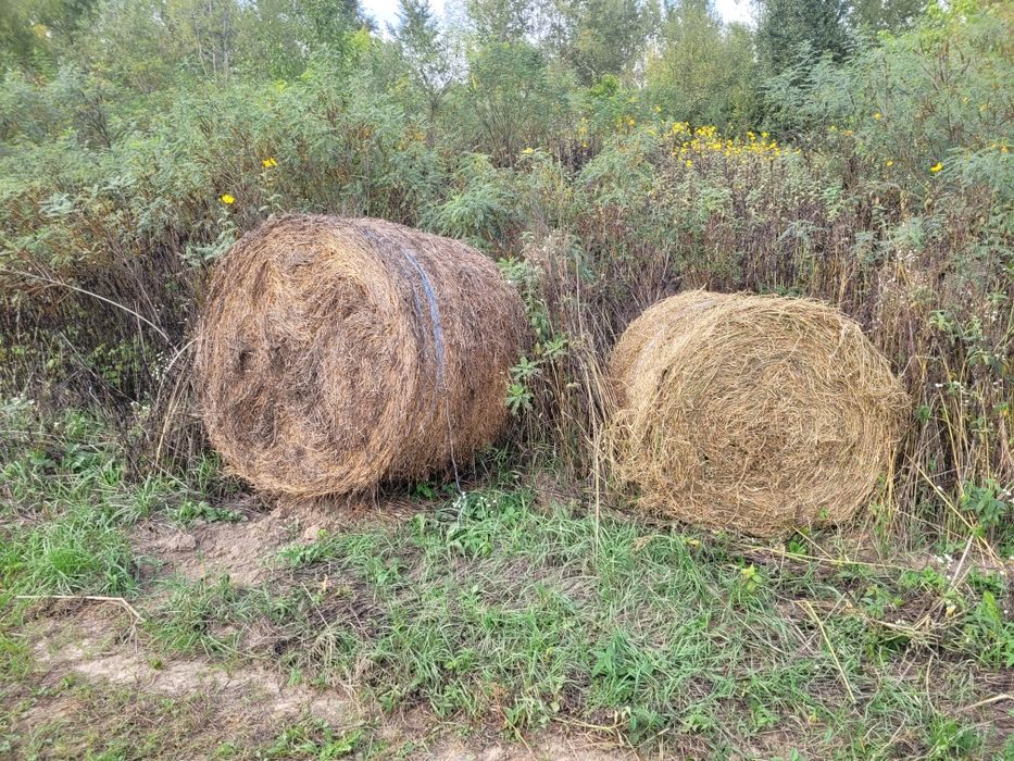 Baloti lucernă  coasa 3 4