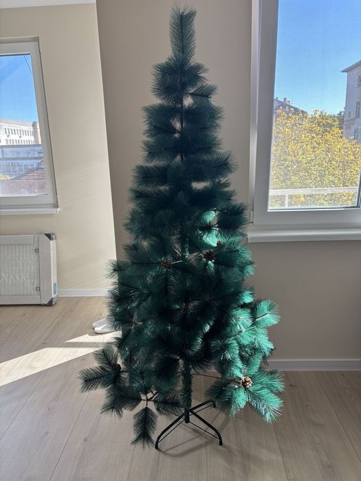 Елха естествено зелена с шишарки 180см