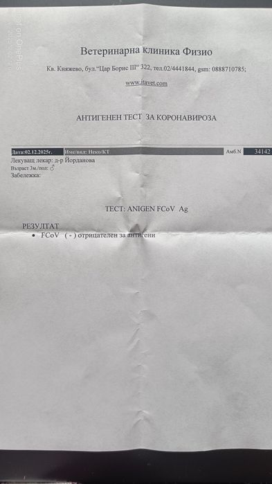 Неко - шепа любов