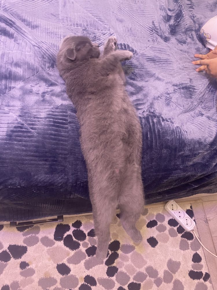 Срочно Скидка вязка