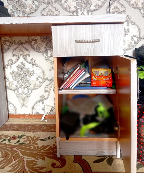 Письменный стол + шкаф + полки. Срочно! Отличная цена