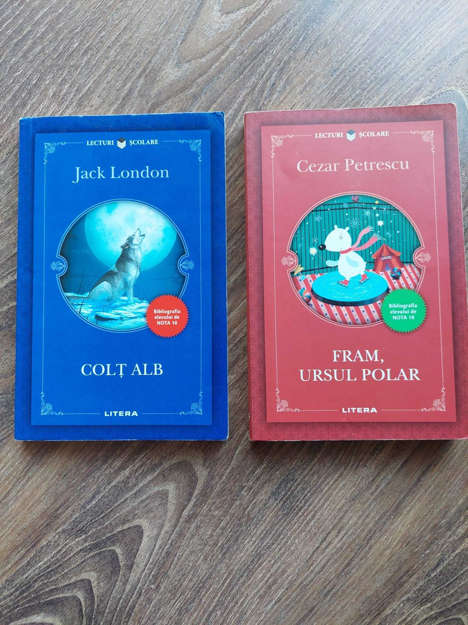Carti literatura scolara copii