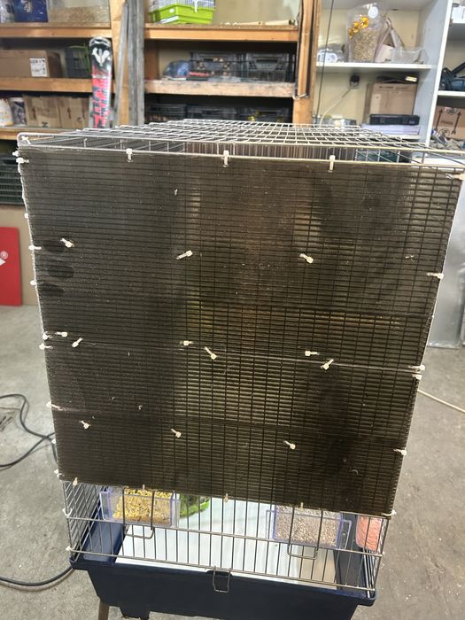 Colivie mare / voliera