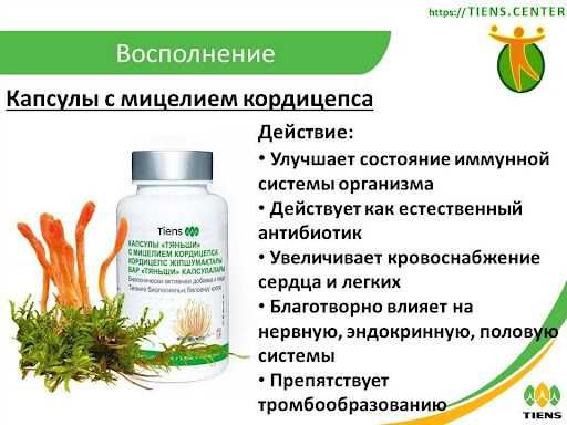 иммунитет в норме с Кордицепс