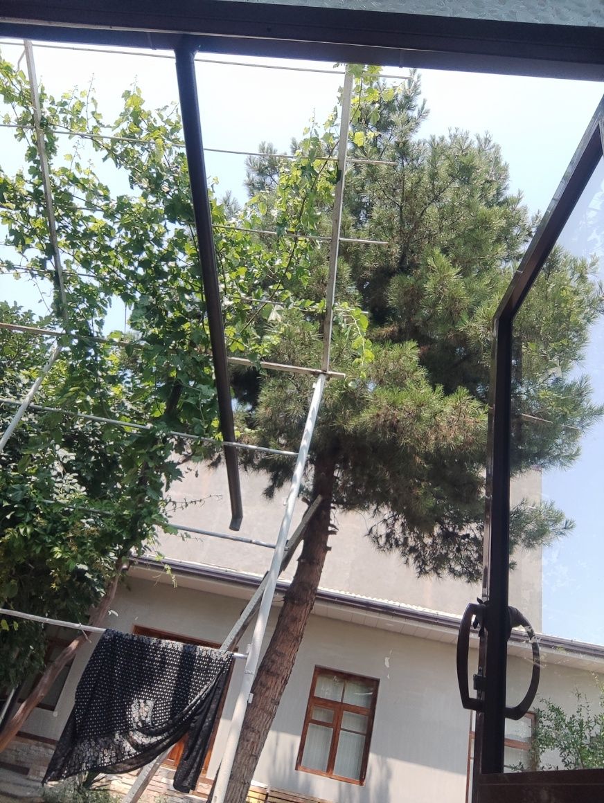 Archa sasna kesib opkettish keere keremas tegi bilan Toshkent shahar.