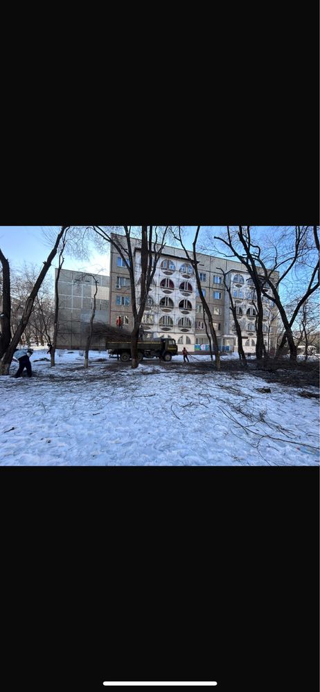 Спил деревьев, сан. обрезка.