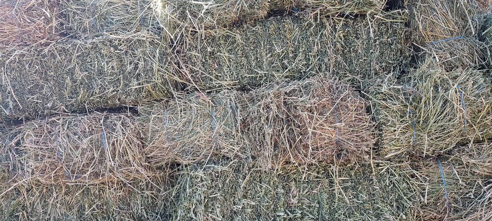 Baloți de fân ,lucernă dreptunghiular,rotund!Se asigura transport!