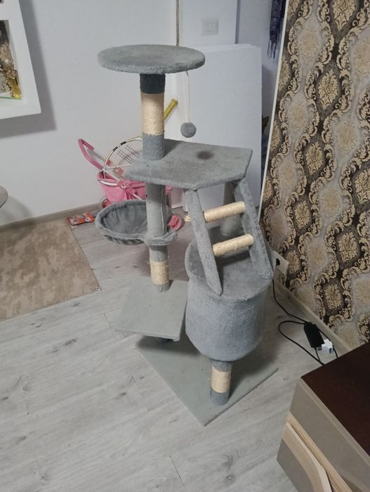 Zgârietoare pisici și litieră