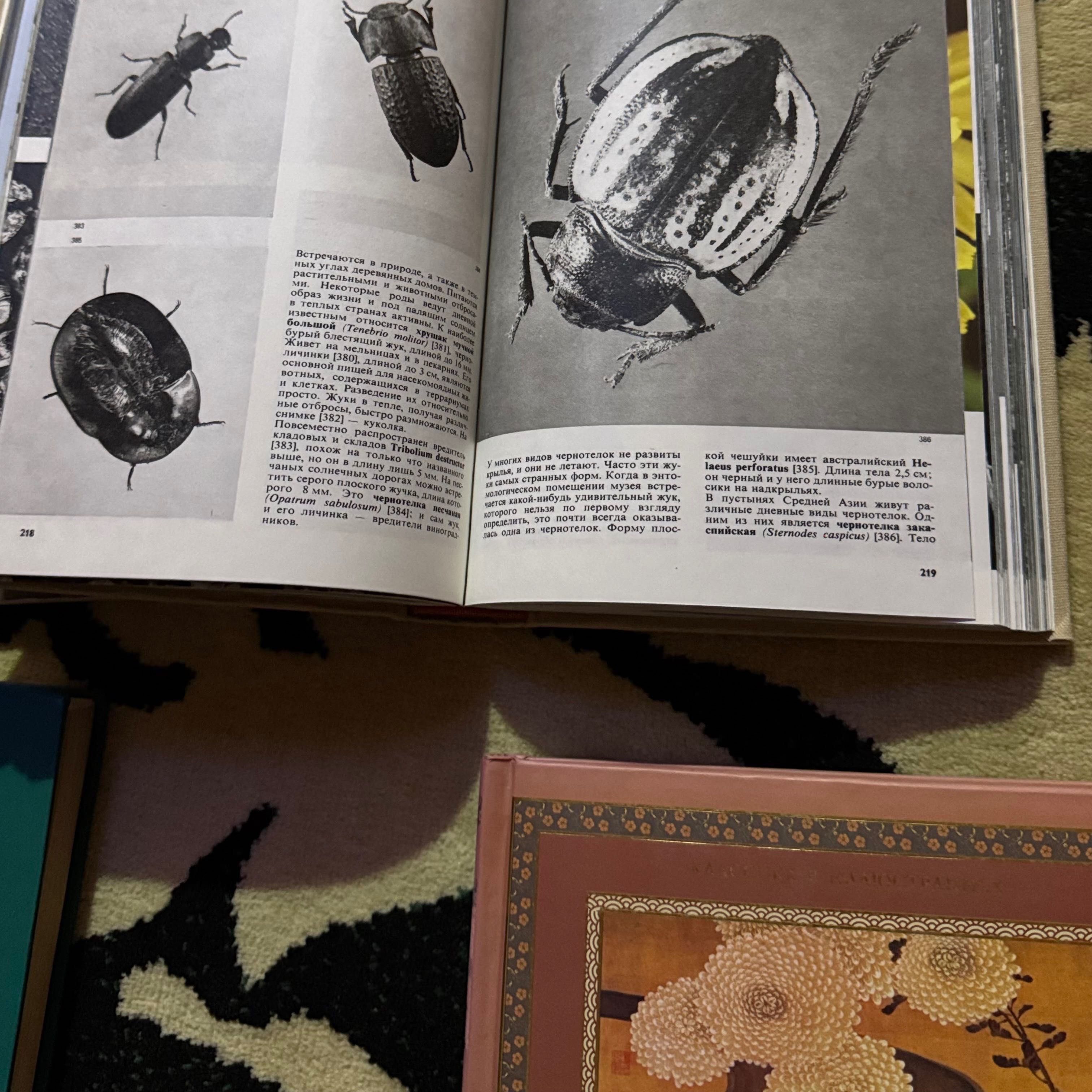 Книги 5 штук разные eng винтажные японская поэзия эрмитаж энциклопедии