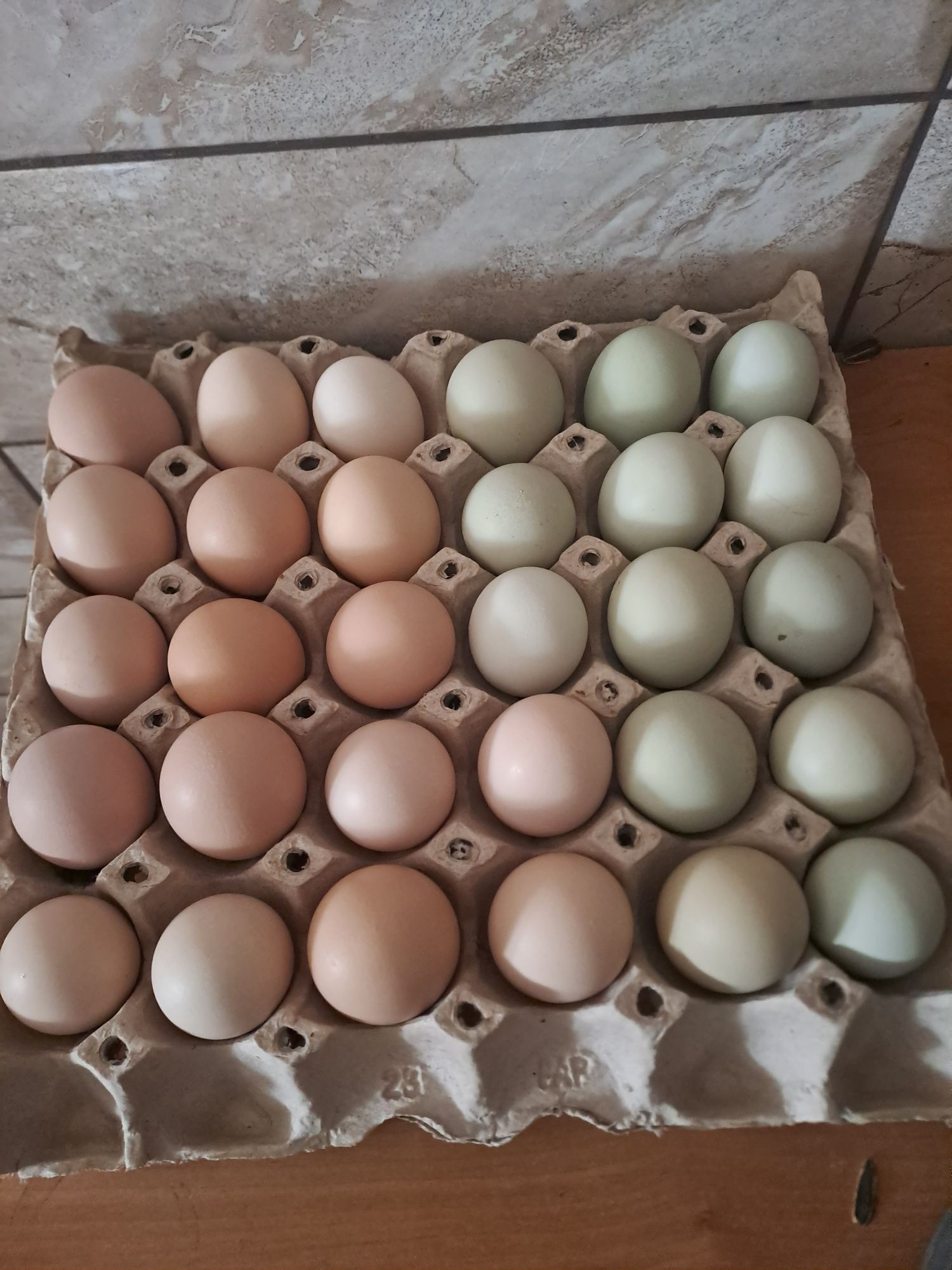 Ouă disponibile pentru incubator