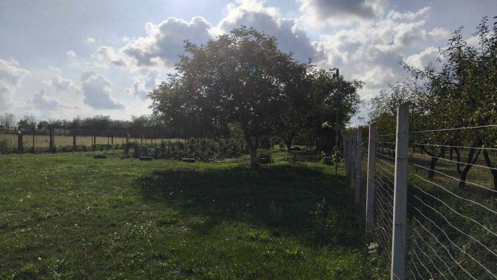 Teren extravilan de vânzare - 20 Arii