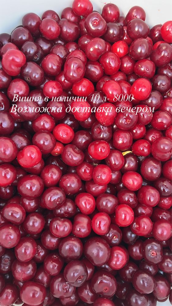 Продам вишню