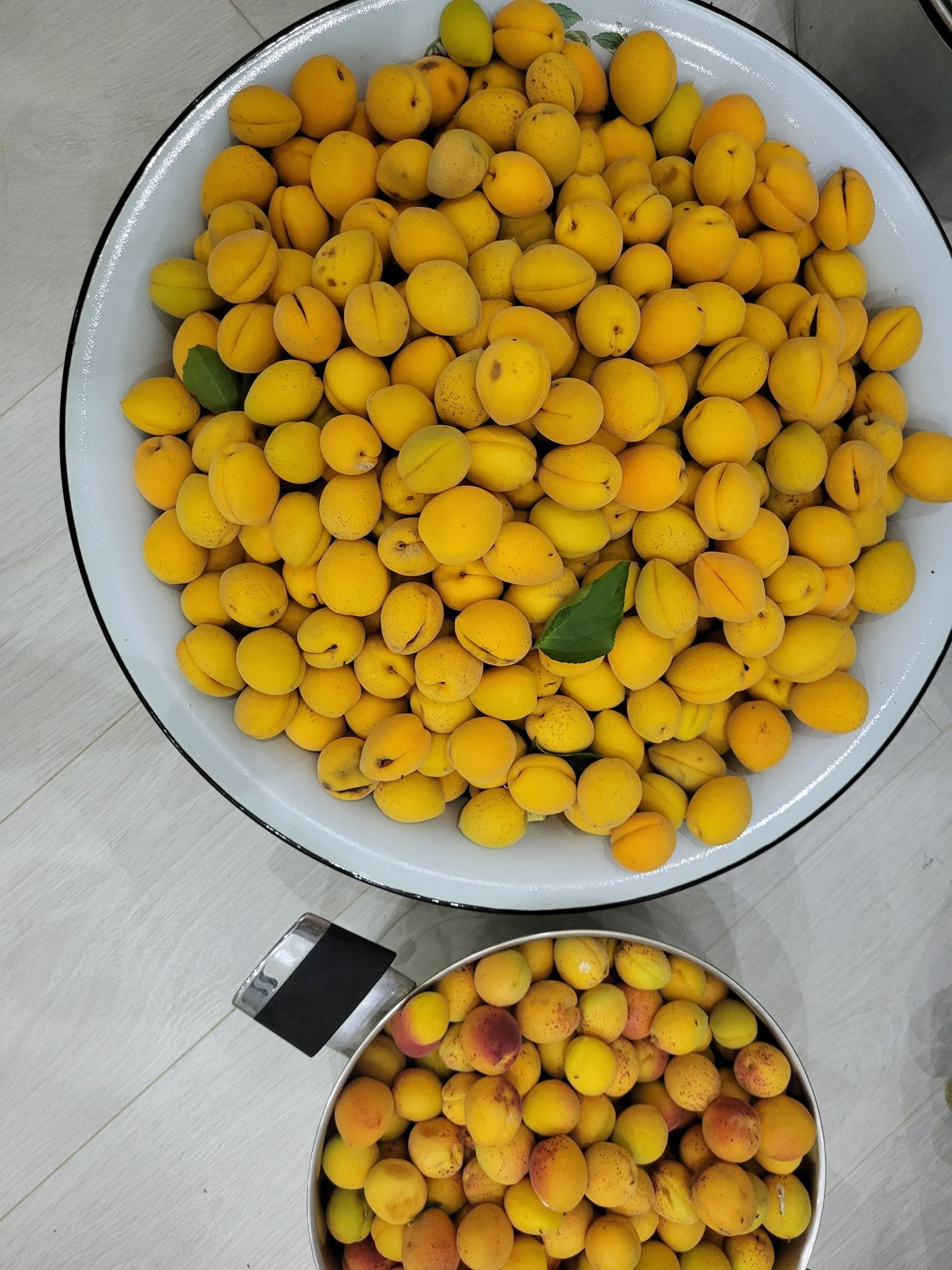 Продаю абрикос с дачи, свежий