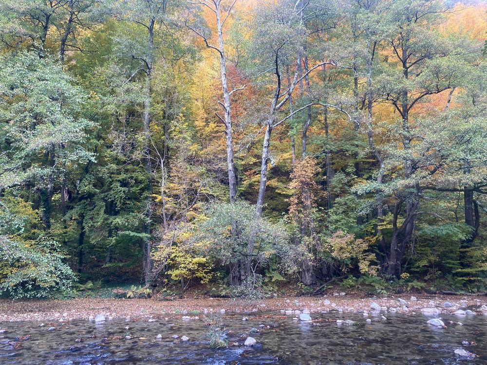Oportunitate unică ! Proprietate in parc national pe malul Cernei !