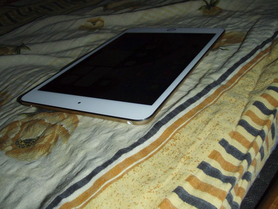 Ipad Mini 4 (2015) Wifi 64 Gb A1538